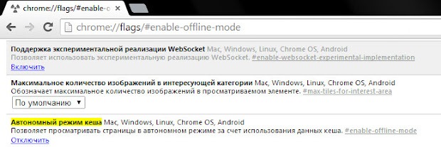 включение и выключение автономного режима в браузере Google Chrome для просмотра удаленной страницы