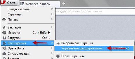Установка расширений в Opera