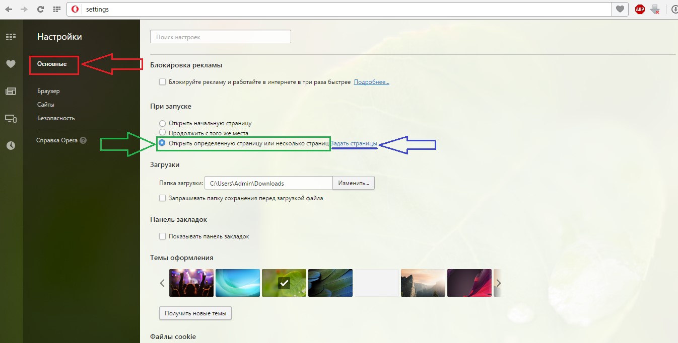 №2. Окно настроек браузера Опера
