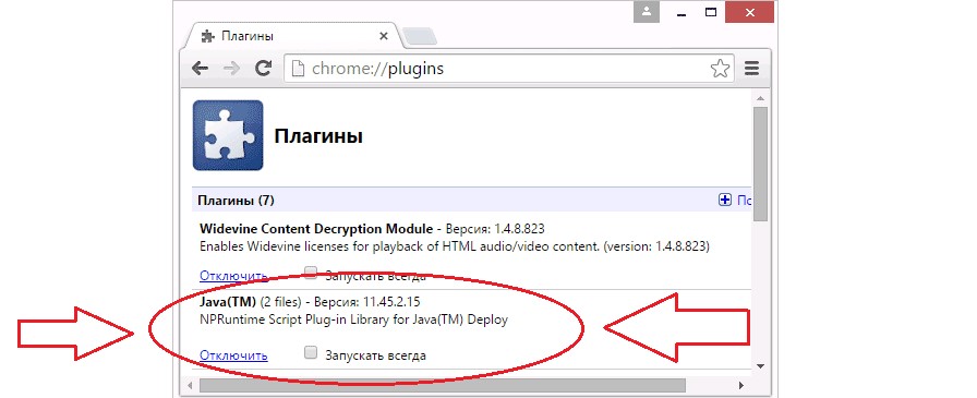 №3. Плагин Java в списке плагинов Google Chrome