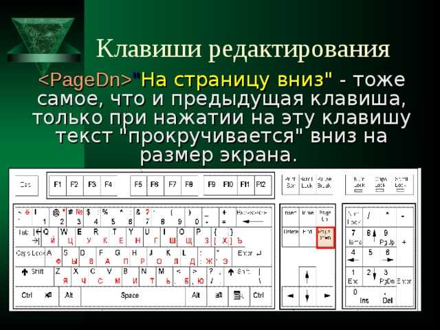 Краткая надпись на клавише предназначенной для переключения режимов вставка замена на компьютере