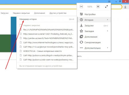 Как просмотреть и удалить историю в Яндекс Браузере?