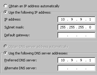 Нужно значение Preferred DNS заменить на текущий IP адрес сервера
