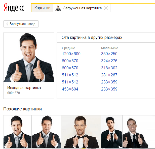 Поиск по фотографии в Яндексе.