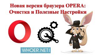 Как почистить браузер Опера, настройка новой версии Opera