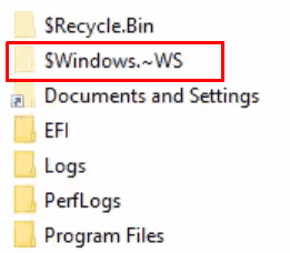 Windows ws