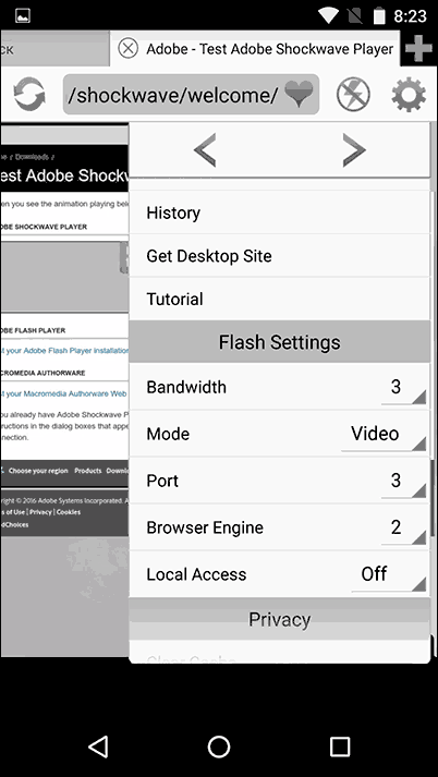 Photon Flash Player and Browser