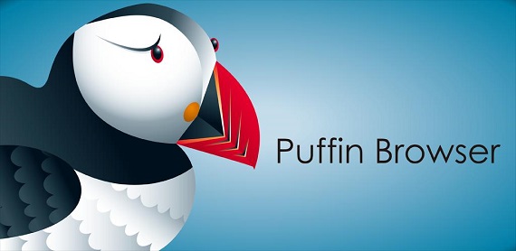 Puffin Web Browser для компьютера