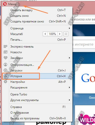 как посмотреть историю сайтов opera
