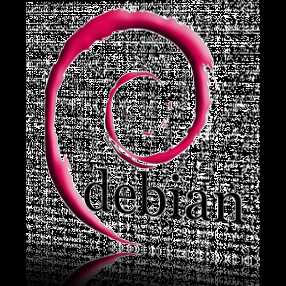 Debian xorg установка