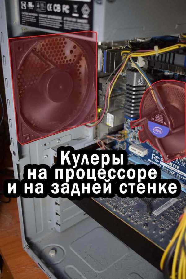 Мастер по ремонту ноутбуков hp Парголово