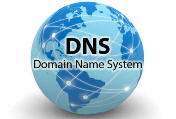 Dns реутов парк какой этаж